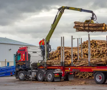 Crane placing loggs on a trailer